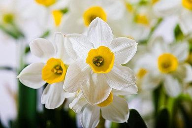 仅售29.9元！快节奏爬塔卡牌肉鸽《寻剑迷途》现已发售